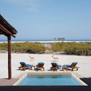 Sir Bani Yas Island