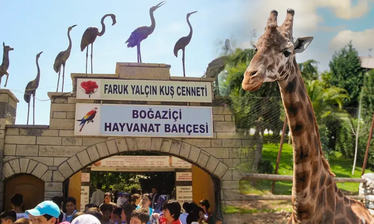 ورودی باغ وحش استانبول