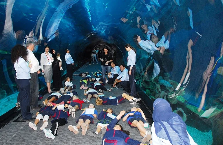 Dive into Wonder: Exploring Dubai Aquarium & Underwater Zoo