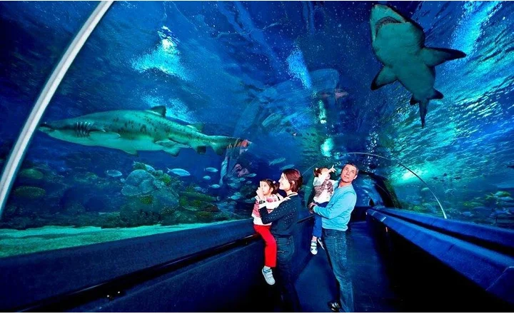 Sea Life Aquarium of Istanbul