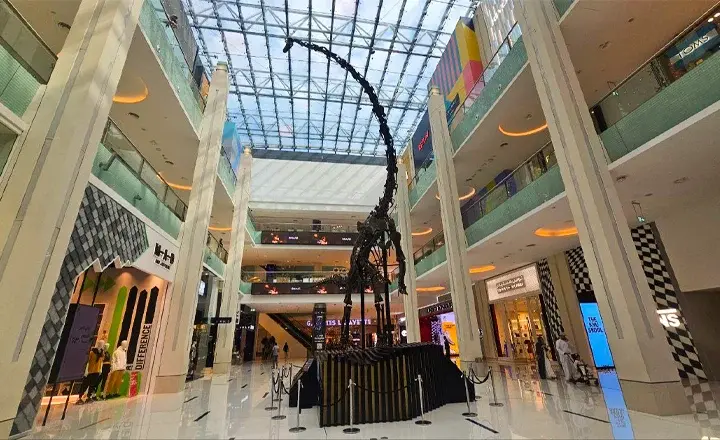 Dubai Mall Entrance