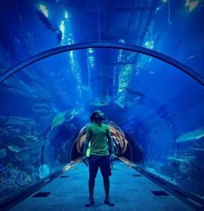 Exploring Dubai Aquarium & Underwater Zoo