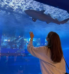 Exploring Dubai Aquarium & Underwater Zoo