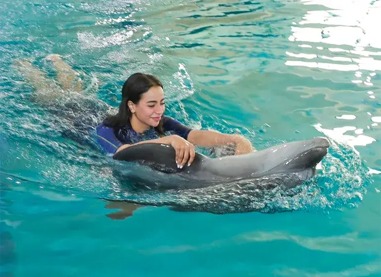 Dubai Dolphinarium in Creek Park