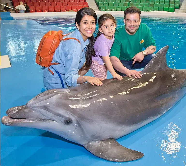 Dolphin Show Highlights at Dubai Dolphinarium