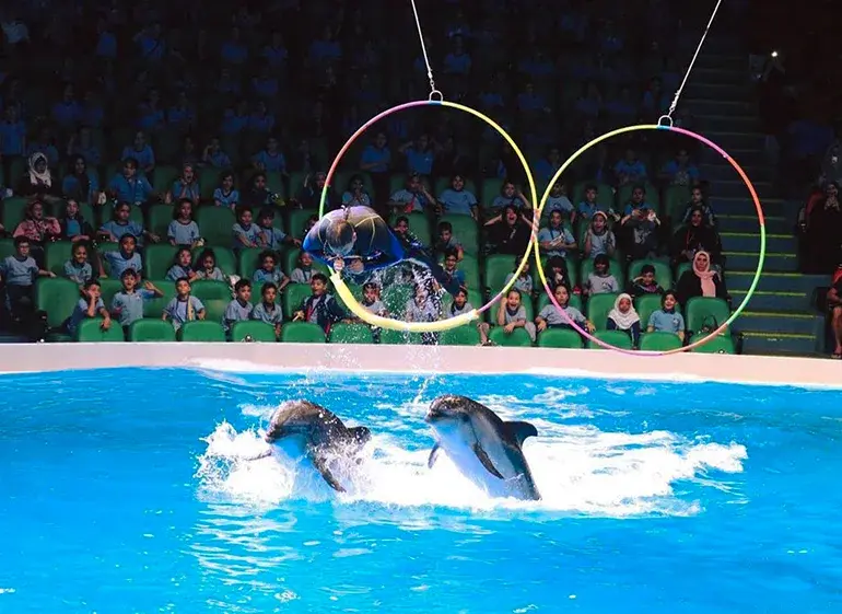 Dolphin Care and Training at Dubai Dolphinarium