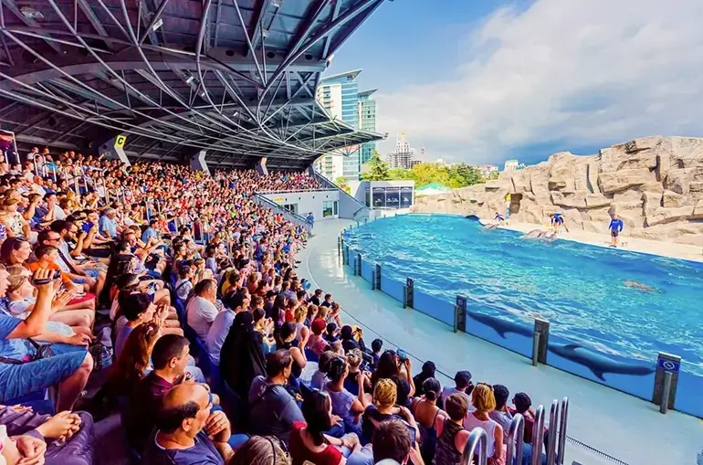 Batumi Dolphinarium