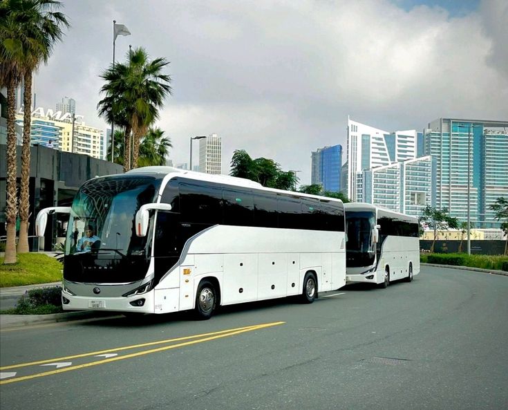 Dubai's Bus