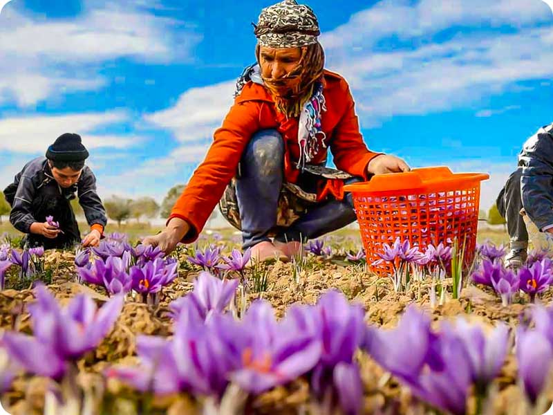 visit iran in Autumn (September to November)