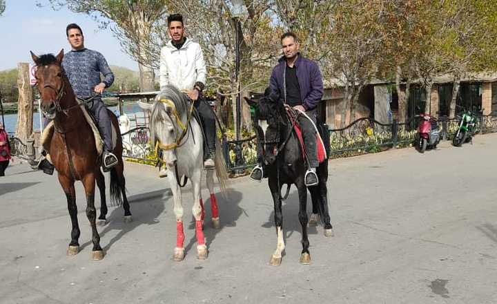 Horseback Riding at El Goli