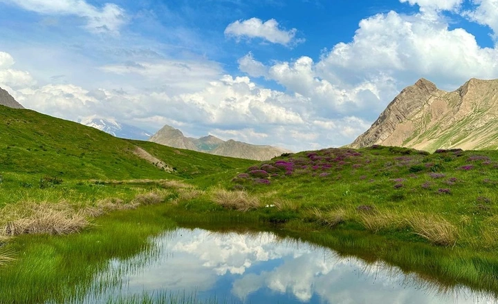 دشت لار در دماوند تهران​