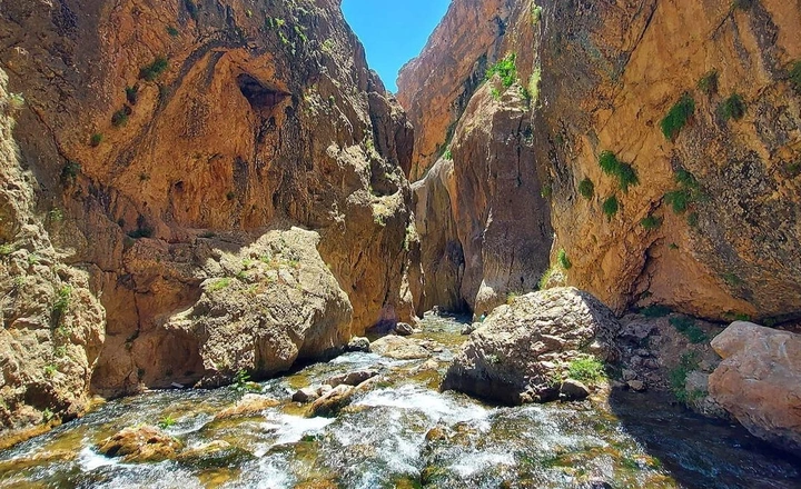 تنگه واشی در تهران