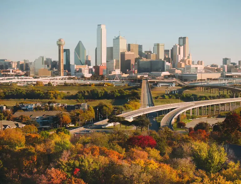 Texas US state