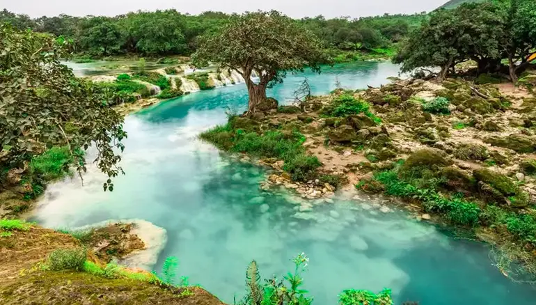صلاصه برای طبیعتگردی در عمان