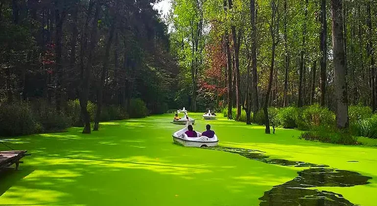 پارک جنگلی سراوان رشت از بهترین جنگل های شمال ایران