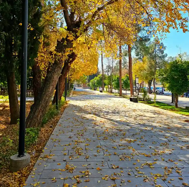 باغ ملی از باغ های دیدنی شیراز