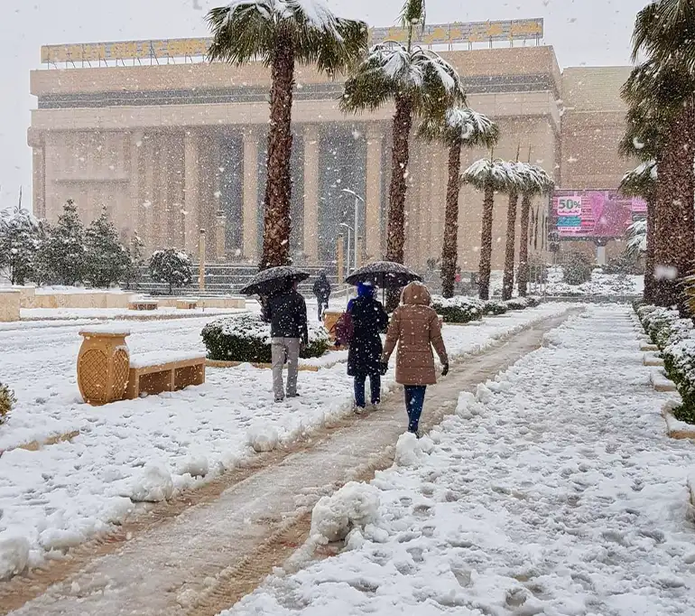 سفر در زمستان به شیراز​