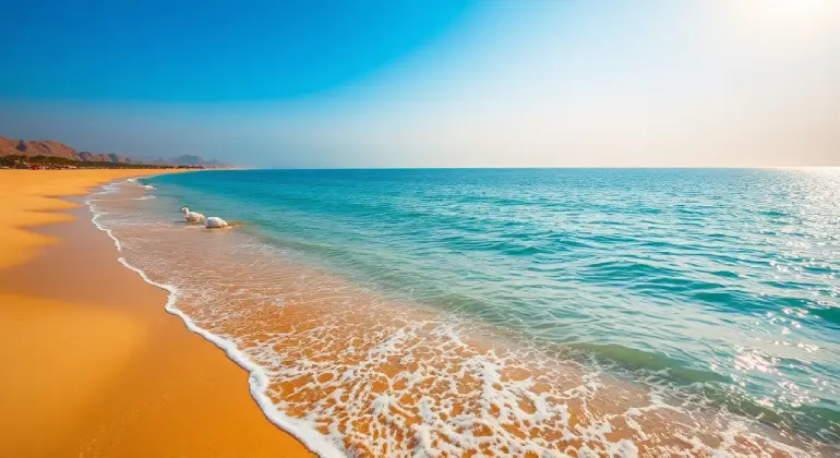 Oman beaches