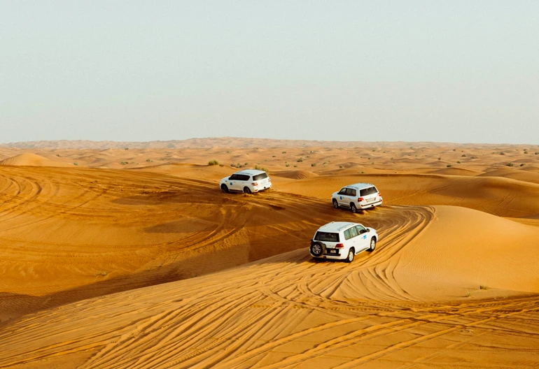 تور سافاری کیش