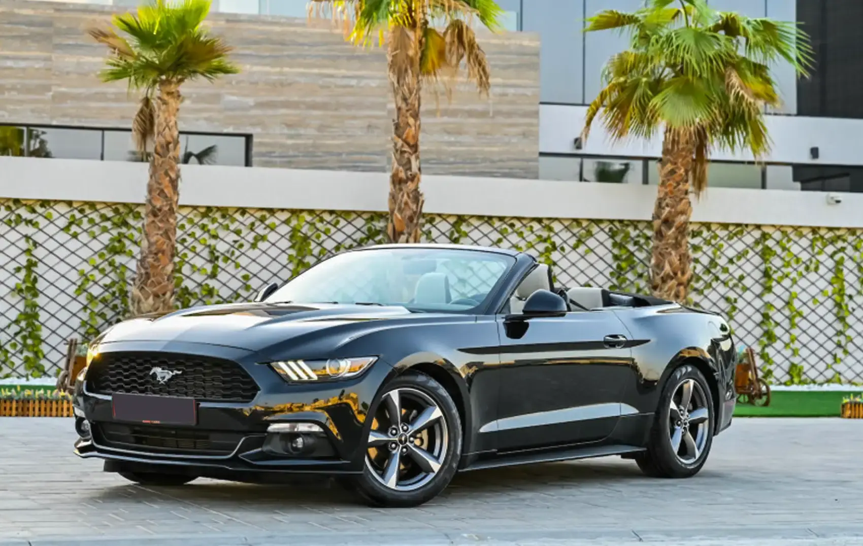 Ford Mustang Rental Dubai 2025, UAE ...