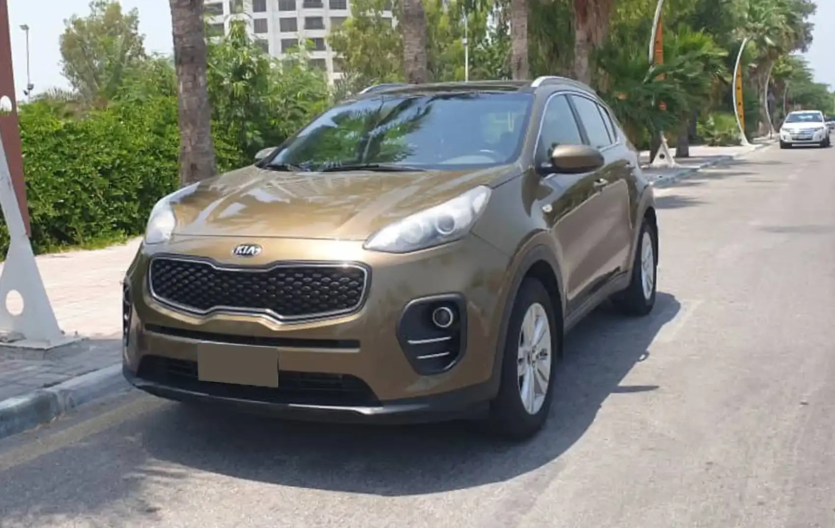 Rent a 2018 Sportage in Kish | Price for Renting a Sportage ...