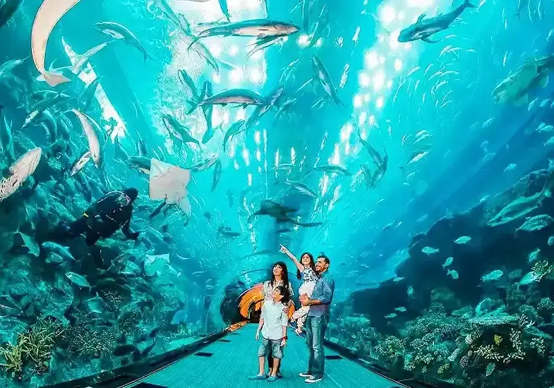 Is Dubai Aquarium expensive for entertainment?