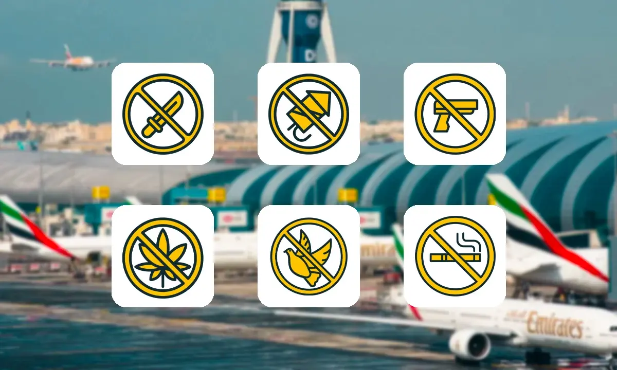 قوانین فرودگاهی دبی و امارات، ضوابط ورود و خروج